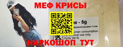 амф Камышлов