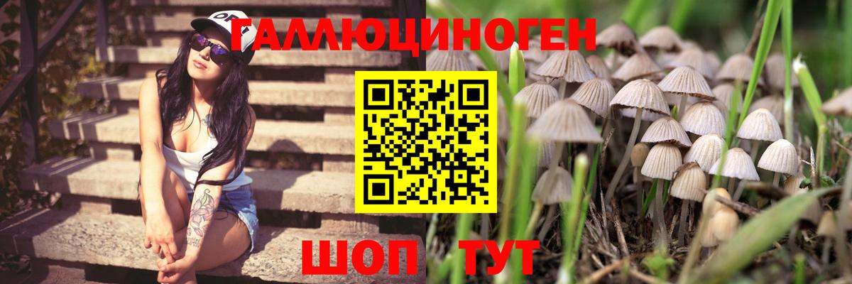 Шахты  Псилоцибиновые грибы прущие грибы  Вход с VPN 