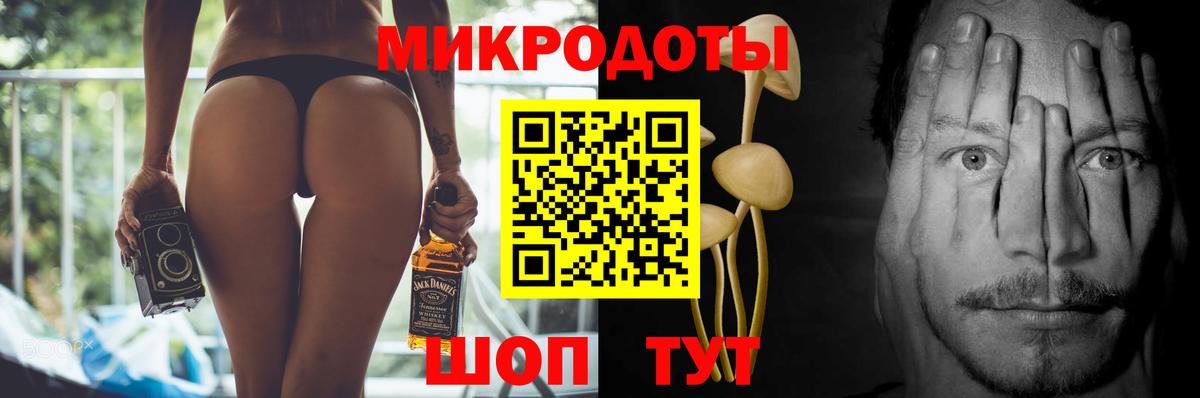 Псилоцибиновые грибы Psilocybine cubensis Шахты